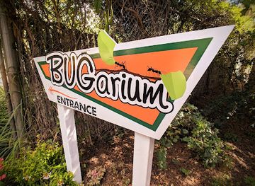 new-mexico/sandia-peak-tramway/attraction/bugarium