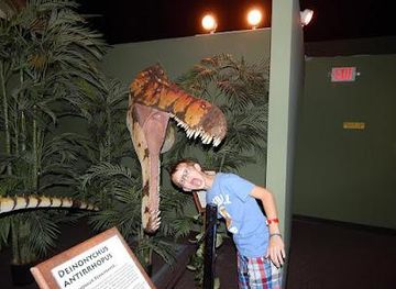 arkansas/eureka-springs/attraction/dinosaur-museum