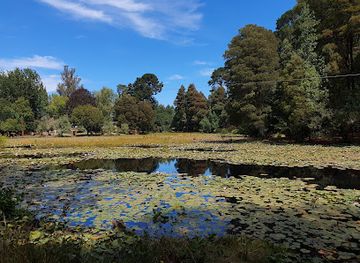 chile/los-rios-region/attraction/parque-saval