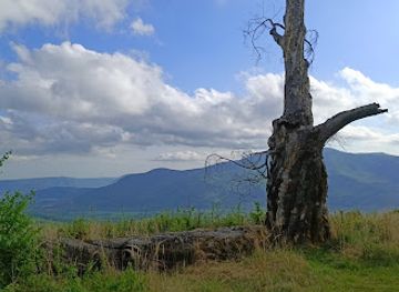 slovakia/slovak-karst-national-park/attraction/betliarsky-buk