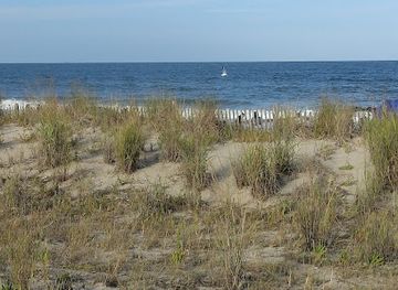 delaware/cape-henlopen-state-park/attraction/rehoboth-beach-boardwalk