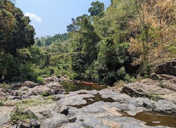 cambodia/ratanakiri/attraction/green-jungle-trekking-tours-cambodia