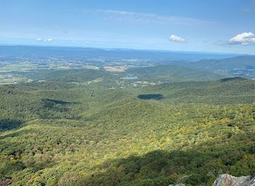 virginia/shenandoah-national-park/attraction/nicholson-hollow-trail
