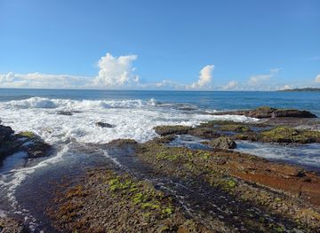 sri-lanka/bundala-national-park/attraction/peacock-s-rock