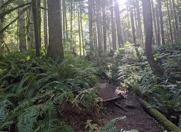 washington/western-washington/attraction/lower-mailbox-peak-trailhead