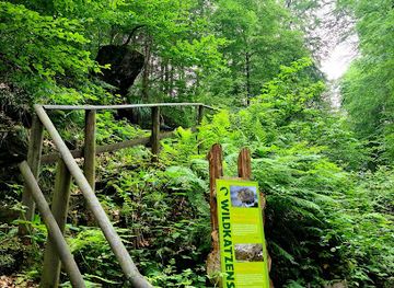 germany/harz-national-park/attraction/wildkatzen-erlebnispfad