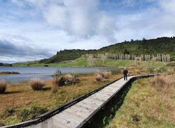 new-zealand/rotorua/attraction/lake-okareka-reserve-and-walkway
