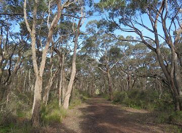 australia/fleurieu-peninsula/attraction/spring-mount-conservation-park