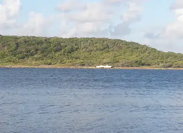 Old Sugar Cane Pier