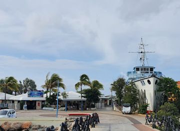 curacao/groot-kwartier/attraction/dolphin-academy-curacao