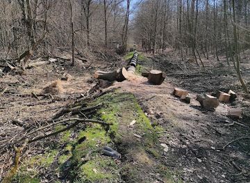 czechia/svaty-kopecek/attraction/cernovirska-kyselka