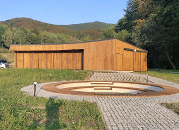 slovakia/zemplinska-sirava/attraction/lokomotiva-na-uzkokolajke