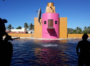 mexico/western-mexico/attraction/delfiniti-of-mexico