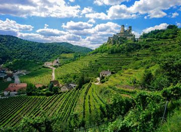 austria/mostviertel/attraction/burgruine-senftenberg