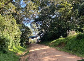 kenya/elgeyo-escarpment/attraction/kakamega-forest-national-reserve