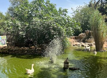 israel/northern-district/attraction/monkey-forest-yodfat