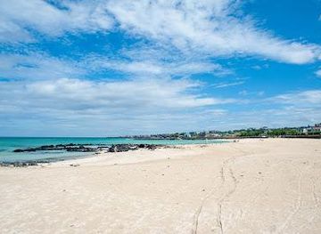 south-korea/jeju-city/attraction/gwakji-beach