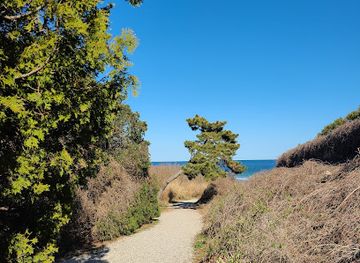 rhode-island/napatree-point-conservation-area/attraction/east-beach