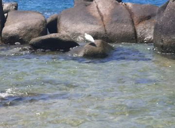 thailand/koh-tao/attraction/pepe-boulders-beach