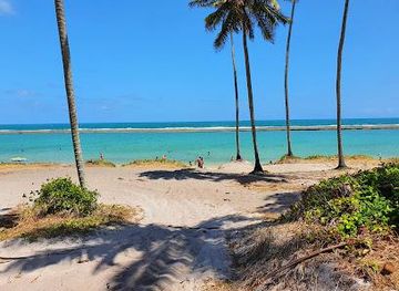 brazil/recife/attraction/praia-de-gamboa
