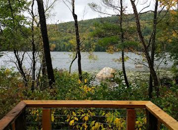 massachusetts/berkshires/attraction/pfeiffer-arboretum