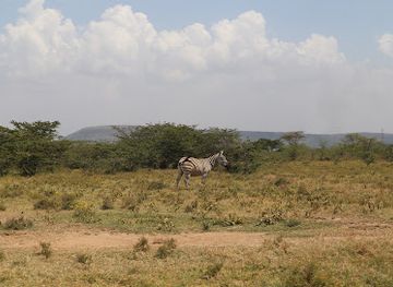 kenya/nakuru/attraction/soysambu-conservancy-main-gate