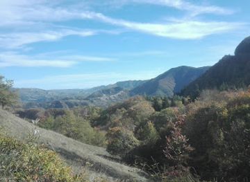 italy/casentino/attraction/foreste-casentinesi-vers-toscano