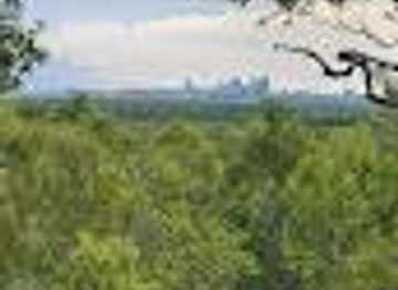 australia/darwin/attraction/charles-darwin-lookout