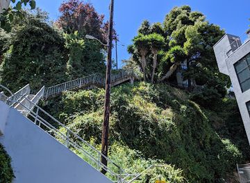 Filbert Steps