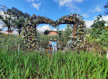 guatemala/antigua-guatemala/attraction/girasoles-de-antigua