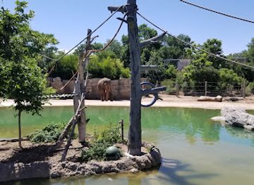 colorado/denver/cherry-creek/attraction/denver-zoo