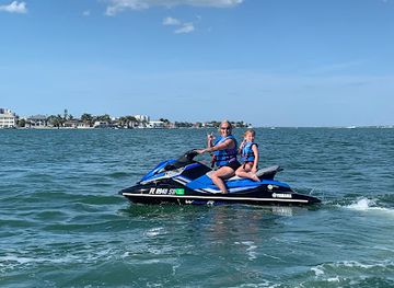 florida/clearwater-beach/attraction/mangrove-shell-tree