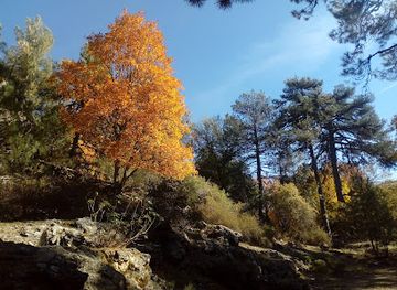 spain/cazorla-natural-park/attraction/nava-de-san-pedro