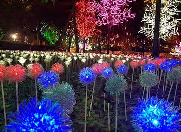 malaysia/kuala-lumpur/attraction/i-city-theme-park