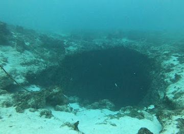 the-bahamas/exuma/attraction/angelfish-blue-hole