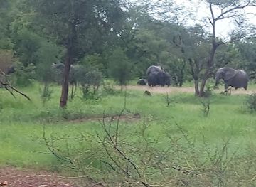 burkina-faso/po/attraction/parc-w