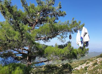 turkiye/saklikent-gorge/attraction/blueeye-tree
