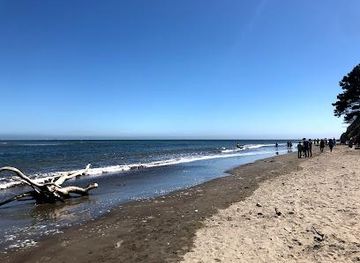california/berkeley/attraction/bolinas-beach