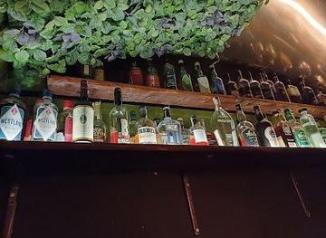 poland/krakow/attraction/william-rabbit-co