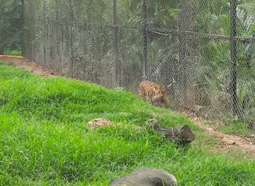 india/mysore/attraction/cheetah-view-point