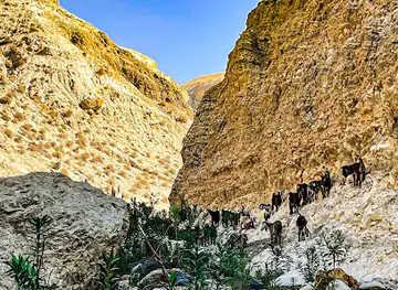Zarqaa Ma'in Canyon