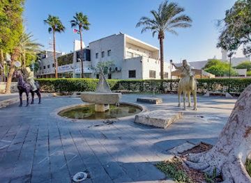 jordan/aqaba/attraction/skver