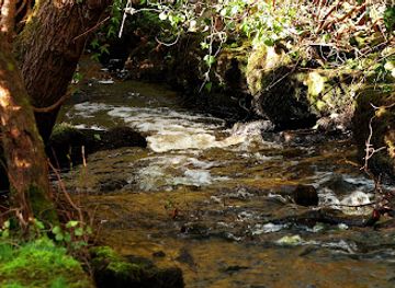 ireland/county-longford/attraction/barraghbeg-o-higgins-trail