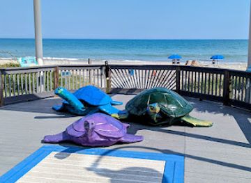 south-carolina/myrtle-beach/attraction/boardwalk-turtles