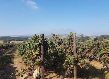 south-africa/cape-town/attraction/beyerskloof