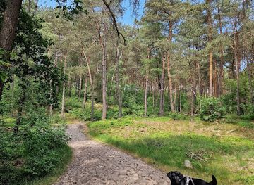 netherlands/hoge-veluwe-national-park/attraction/roekelse-bos