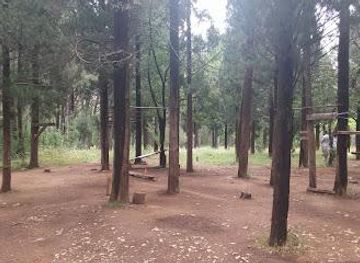 montenegro/bar/attraction/park-forest-gorica