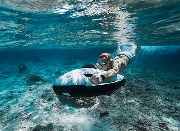 maldives/athuruga-island/attraction/best-dives-fushifaru