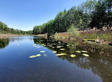 poland/zegrze-reservoir/attraction/pomost