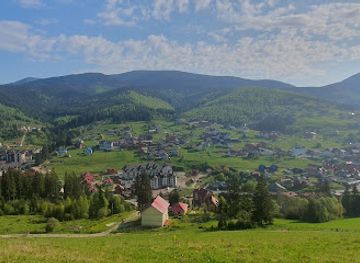 ukraine/vorokhta/attraction/alone-tree